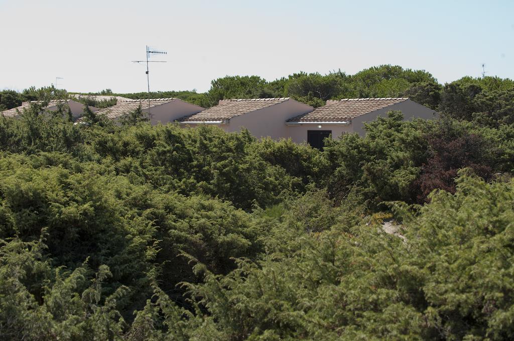 Villaggio La Plata Платамона Стая снимка